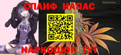 гашик Майкоп