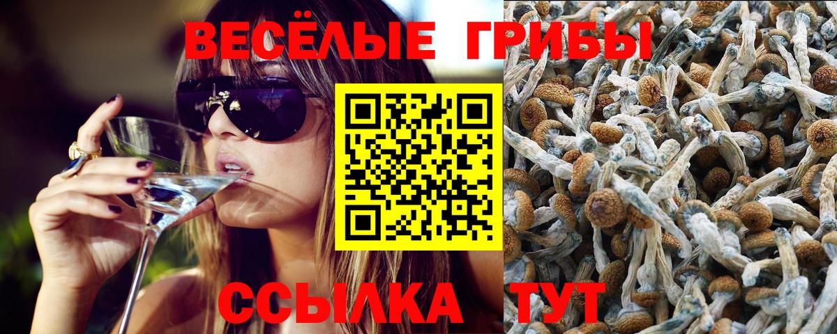 Псилоцибиновые грибы мицелий  Вход с VPN  Кстово 