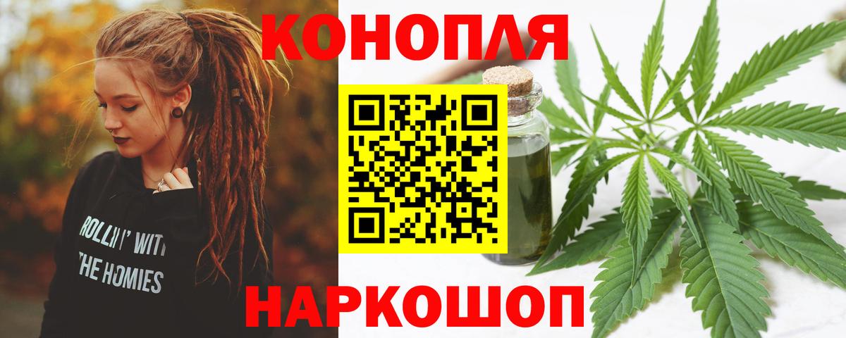 Конопля конопля Кстово